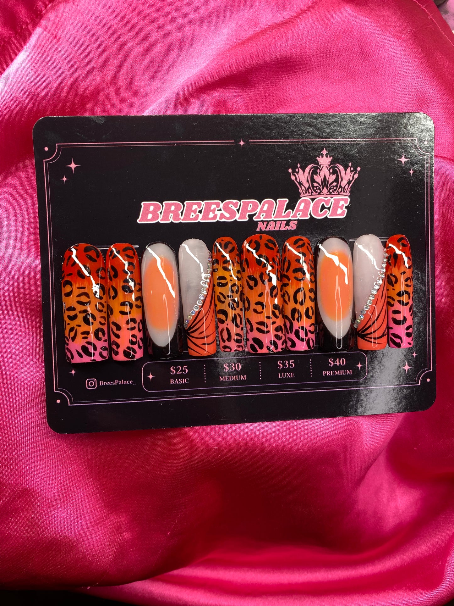 Pussycat Paradise 💗🌴