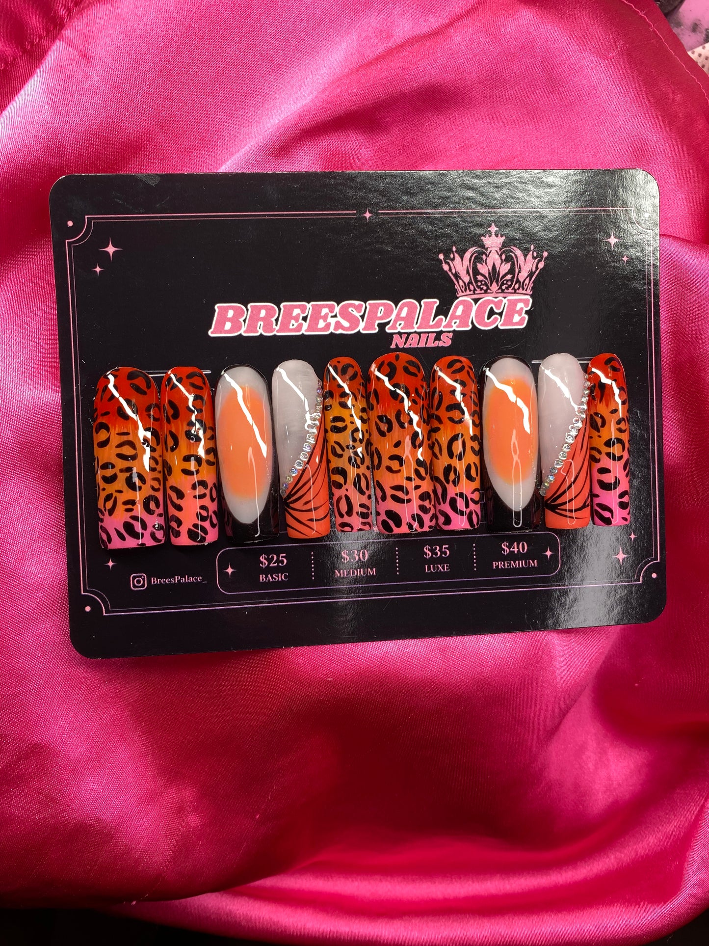 Pussycat Paradise 💗🌴